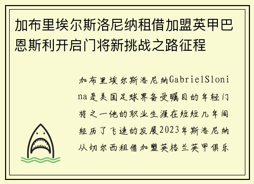 加布里埃尔斯洛尼纳租借加盟英甲巴恩斯利开启门将新挑战之路征程